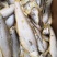 马口鱼，鲅鱼，红头鱼，鲳鱼，白磷鱼到货，各类咸鱼都有