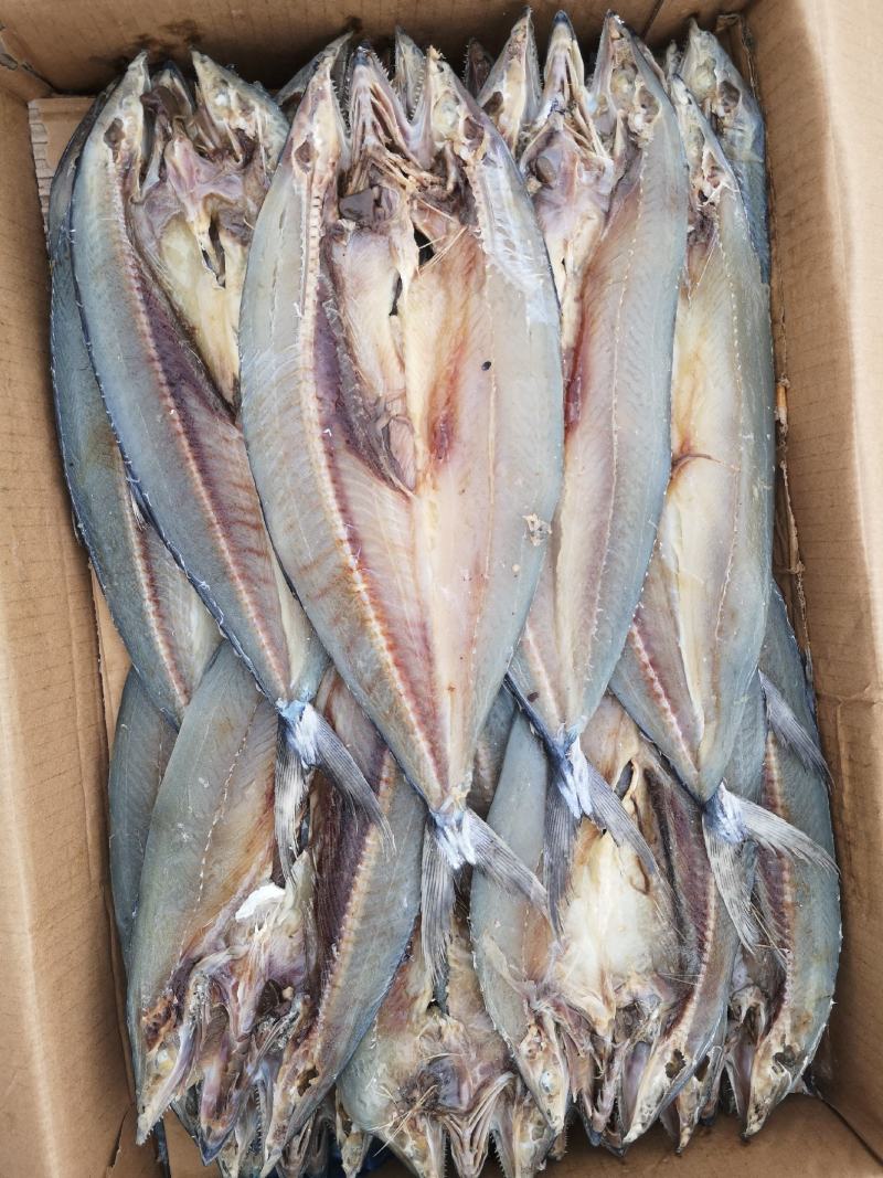 马口鱼，鲅鱼，红头鱼，鲳鱼，白磷鱼到货，各类咸鱼都有
