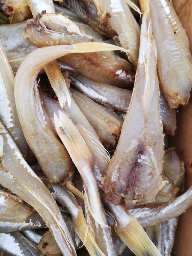 马口鱼，鲅鱼，红头鱼，鲳鱼，白磷鱼到货，各类咸鱼都有