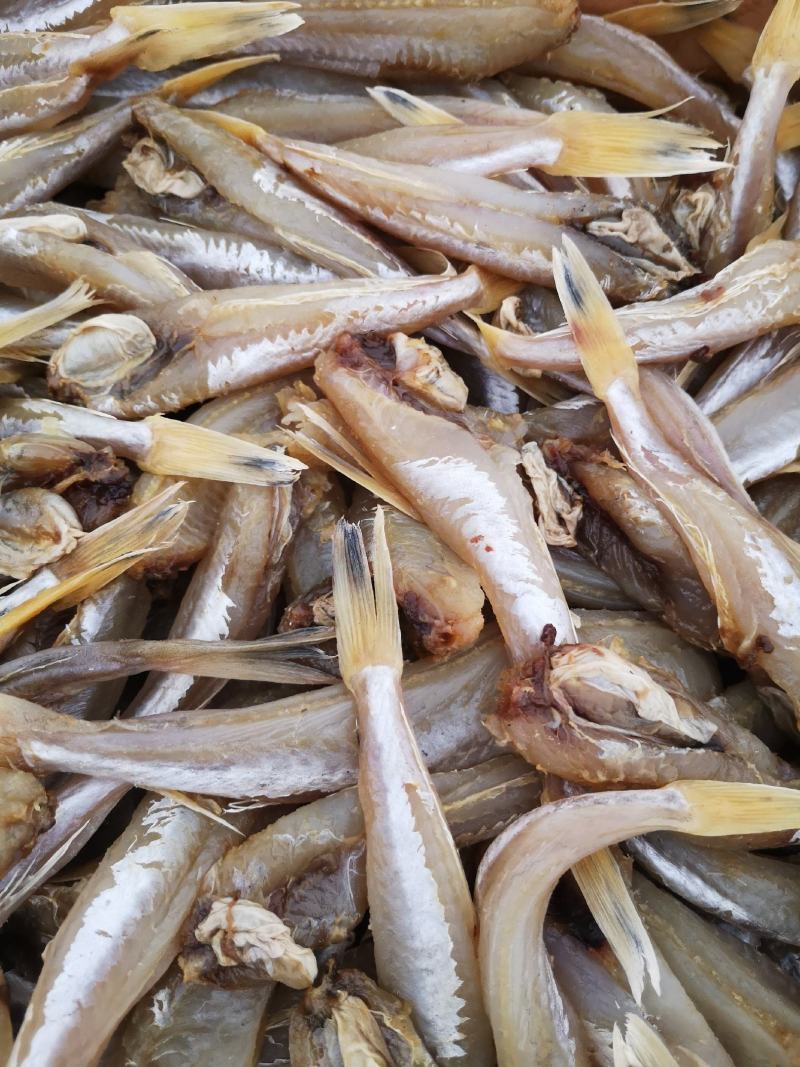 马口鱼，鲅鱼，红头鱼，鲳鱼，白磷鱼到货，各类咸鱼都有