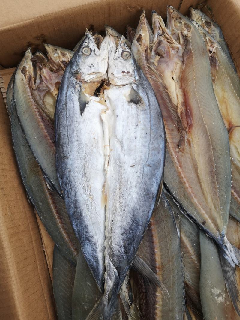 马口鱼，鲅鱼，红头鱼，鲳鱼，白磷鱼到货，各类咸鱼都有