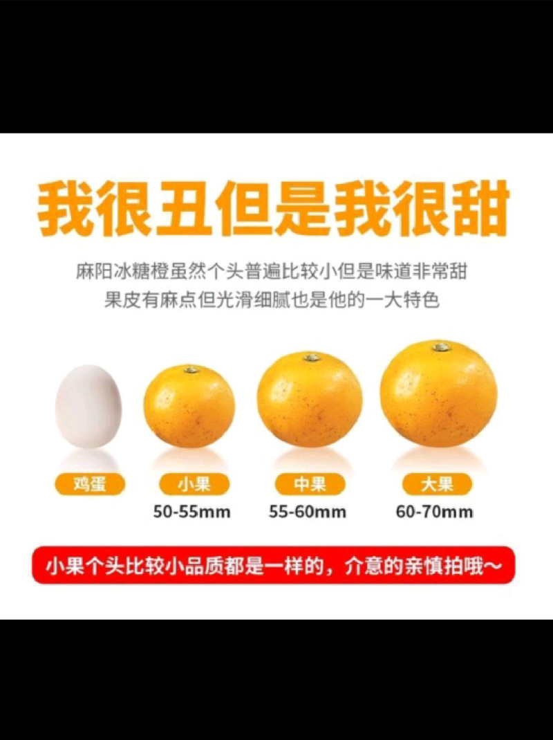 【精选】橙子冰糖橙大量上市供应各大电商平台团购一件代发