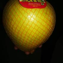 三峡蜜柚产地批发，量大从优，果园订货，可提供各种包装