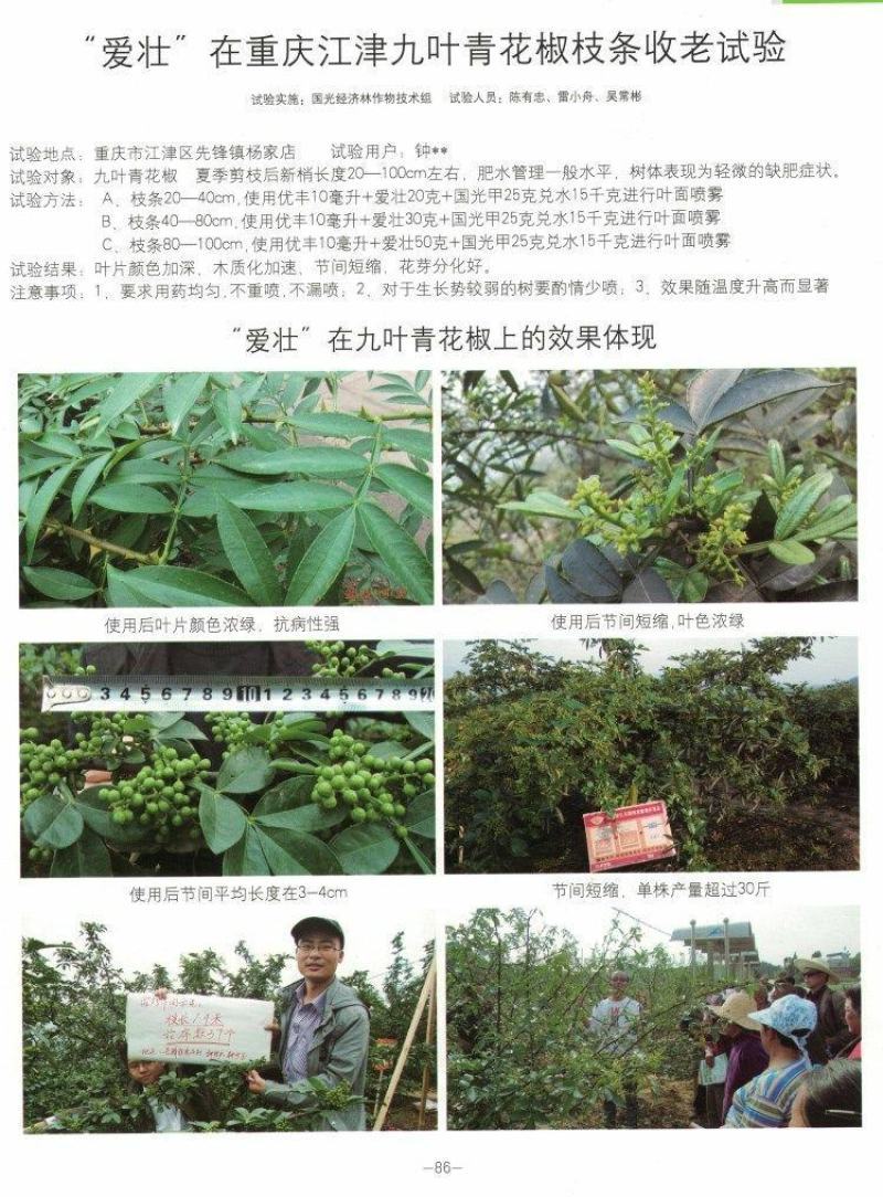 国光爱壮烯效唑花生油菜土豆调节生长控旺矮壮素植物生长调节