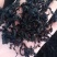 裙带菜！干裙带菜，无黄叶无沙泡发率高！电商实体首选