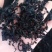 裙带菜！干裙带菜，无黄叶无沙泡发率高！电商实体首选