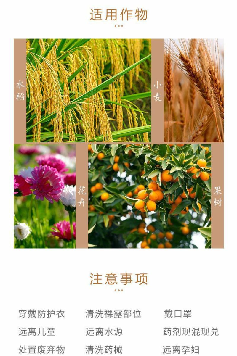 国光(药品)15%多效唑控制生长生长调节剂40克