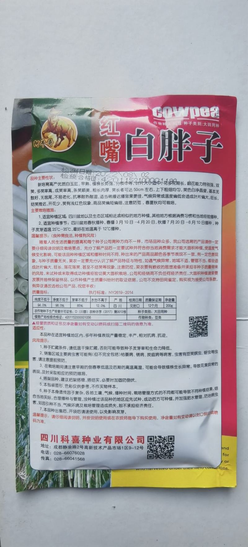 白条豇豆种子红嘴白胖子早熟厚肉白条红嘴条荚顺美抗寒