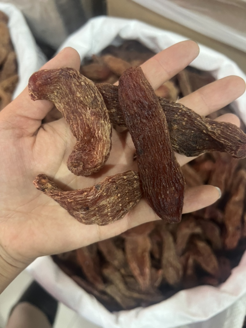 中药材天麻，东北红麻，天麻片，天麻粉，深山天麻
