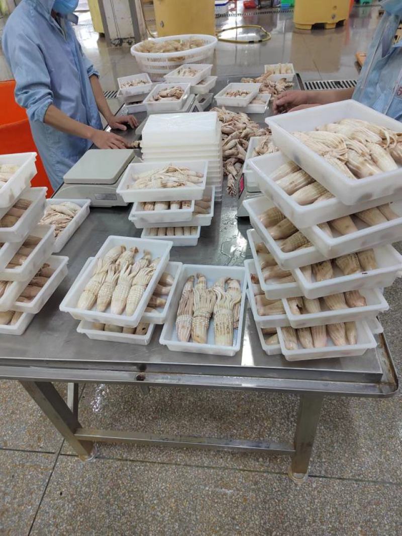 新品，网红火箭鱿鱼，一手货源，货源充足，品质保证，大品牌