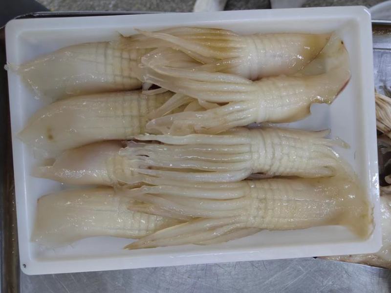 新品，网红火箭鱿鱼，一手货源，货源充足，品质保证，大品牌