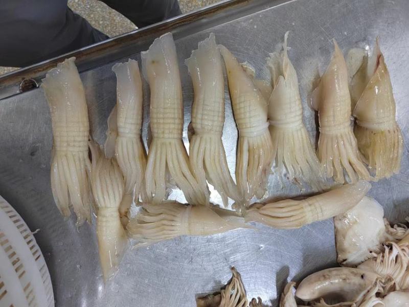 新品，网红火箭鱿鱼，一手货源，货源充足，品质保证，大品牌