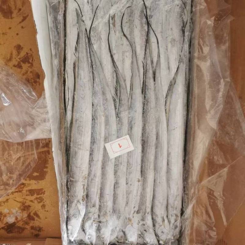 精品大带鱼，净重20斤4种型号可选，质量好