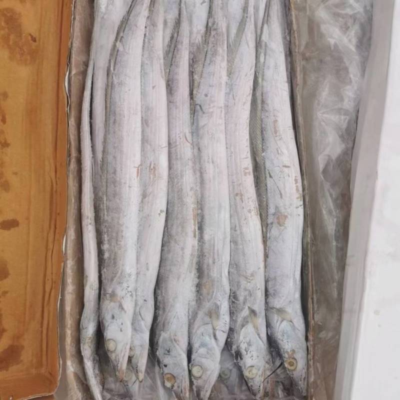 精品大带鱼，净重20斤4种型号可选，质量好