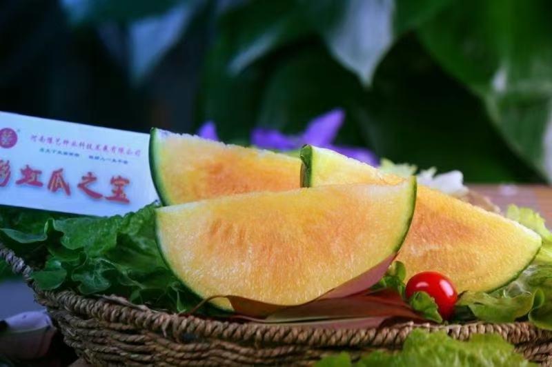 彩虹瓜之宝西瓜种子礼品小西瓜种子早熟甜到瓜皮14度果2公