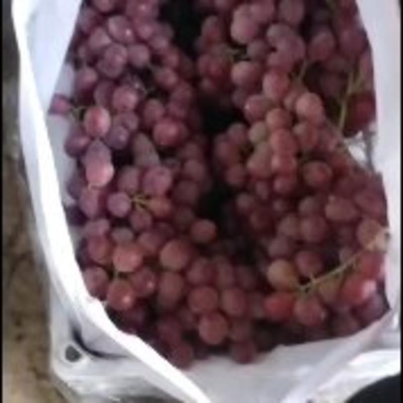 精品红提葡萄。大量库存。颗粒均匀，无小果。欢迎客商前来采