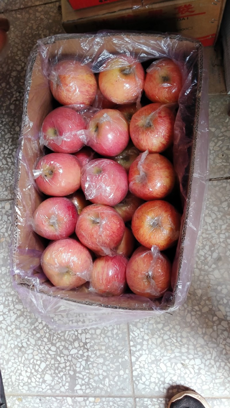 山西万荣精品纸加膜红富士
