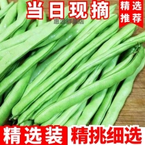 【今日优选】新鲜现摘云南四季豆无筋豆刀豆应季豆角新鲜蔬菜