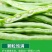 【今日优选】新鲜现摘云南四季豆无筋豆刀豆应季豆角新鲜蔬菜