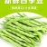 【今日优选】新鲜现摘云南四季豆无筋豆刀豆应季豆角新鲜蔬菜