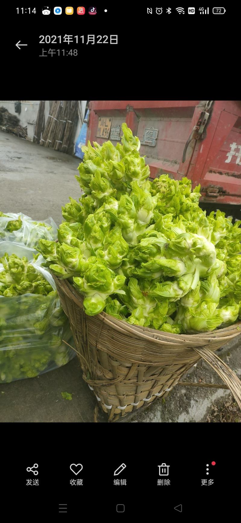 儿菜，儿菜，儿菜，儿菜儿菜