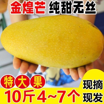 金煌芒【一件代发】3/5/9斤电商/微商/直播/产地直供