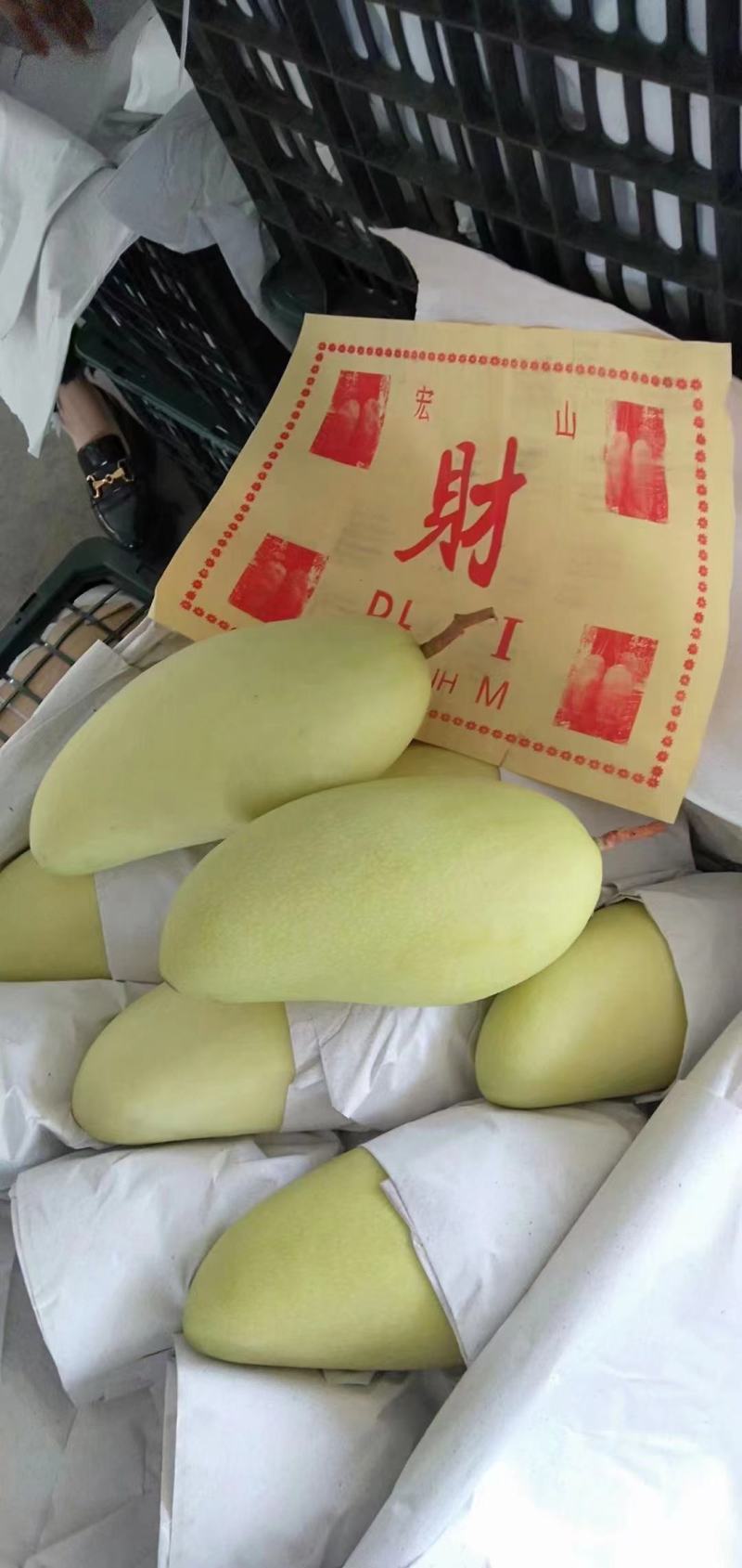 金煌芒【一件代发】3/5/9斤电商/微商/直播/产地直供