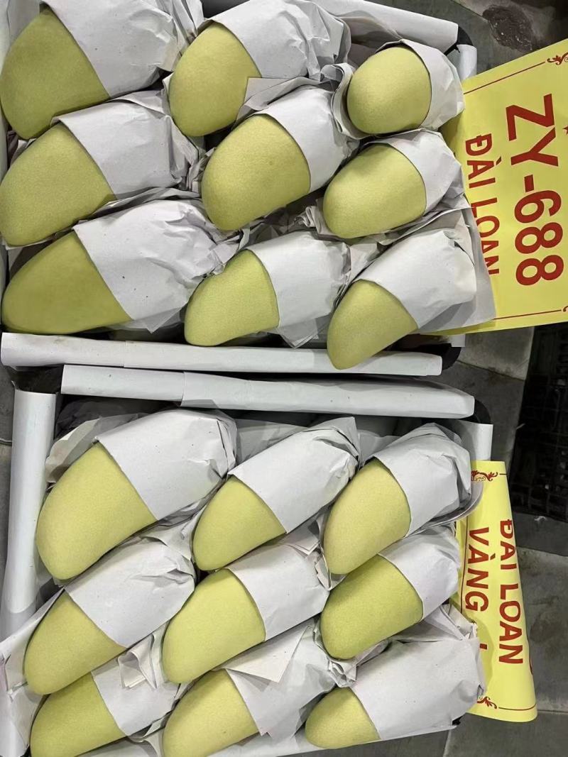 金煌芒【一件代发】3/5/9斤电商/微商/直播/产地直供
