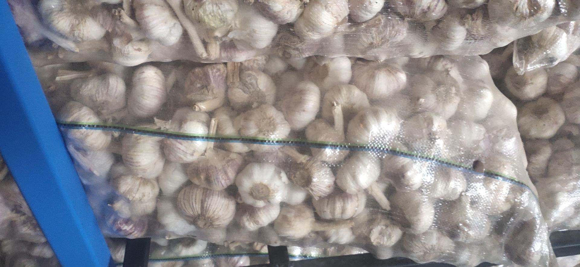 大蒜与可乐组合