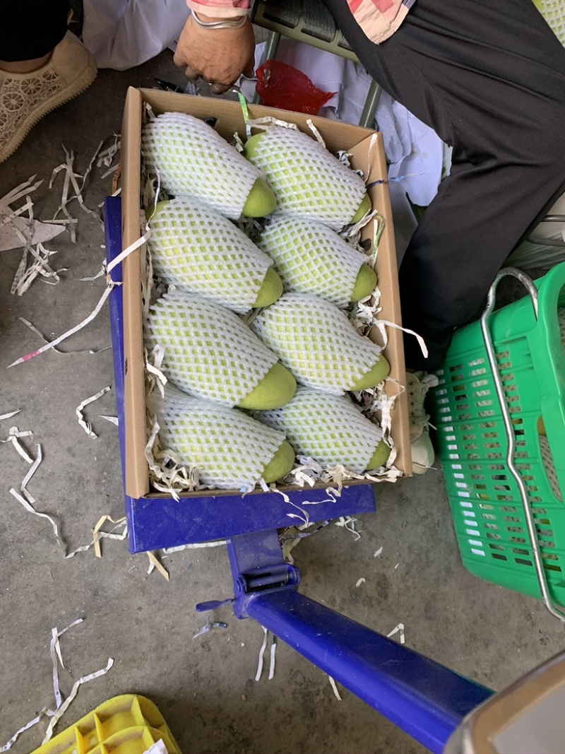 海南金煌芒、一件代发、对接社区团购，电商平台，