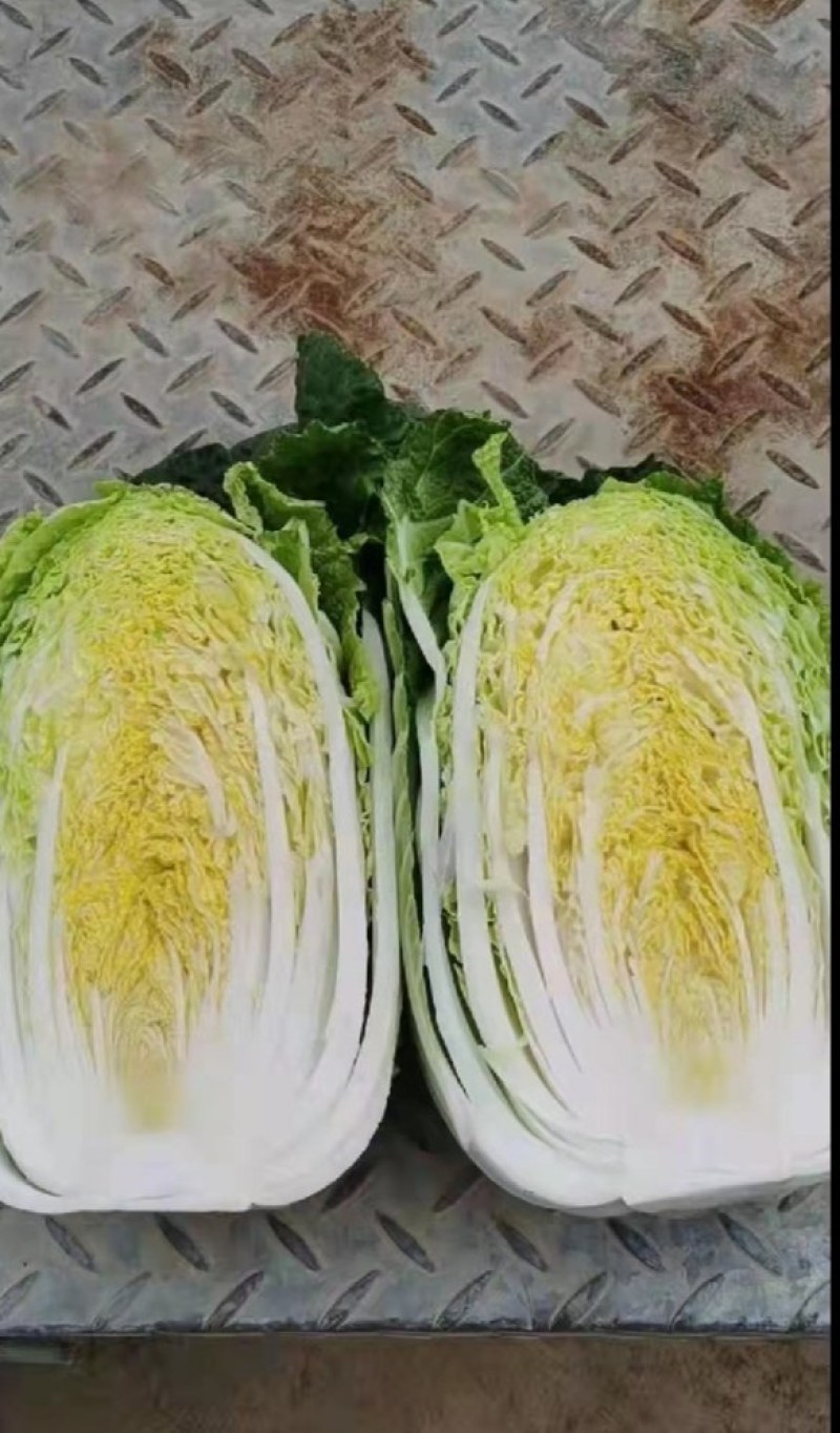 精品汉中大白菜，货量大，质量好，颜色好，
