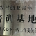 饶平县枕头岽高山茶