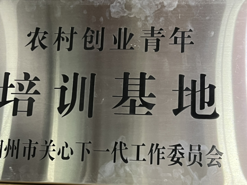 饶平县枕头岽高山茶