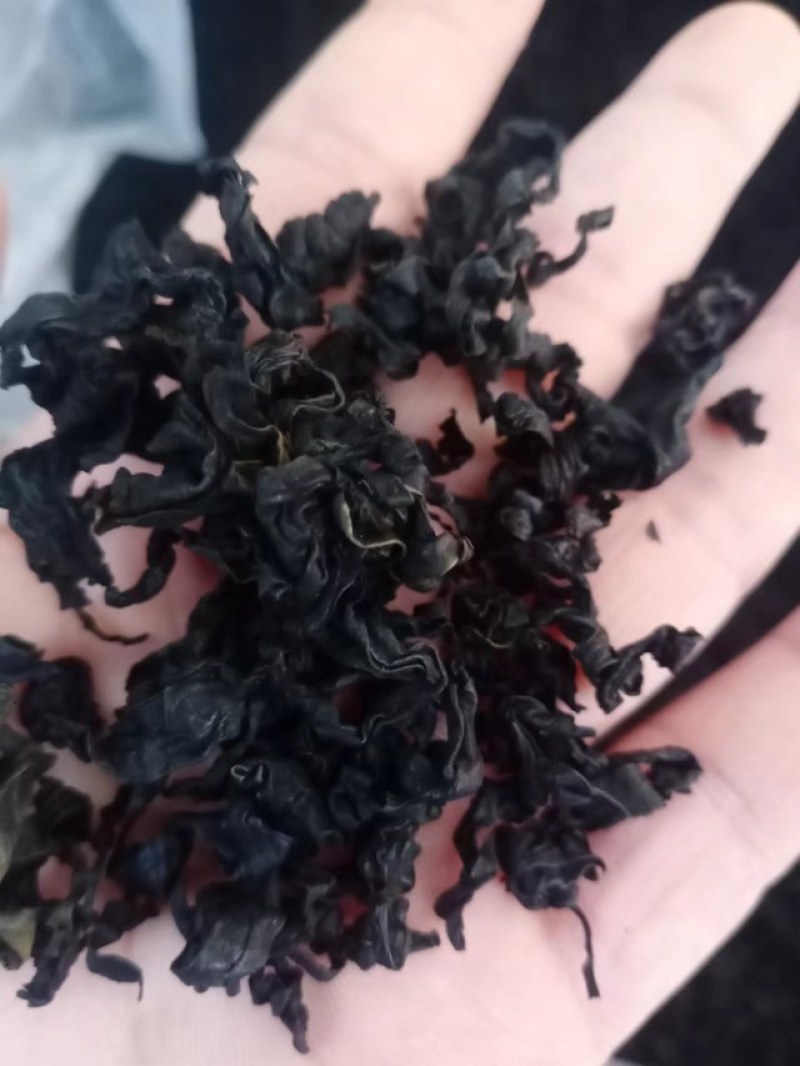 裙带菜！干裙带菜，无黄叶无沙泡发率高！电商实体首选