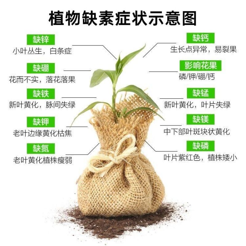 高硼金钙甜如蜜钙硼宝果树蔬菜促花座果脐腐防裂干烧心叶面肥