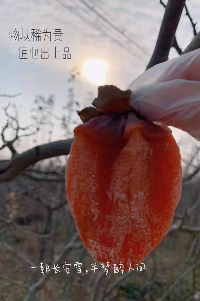 正宗陕西富平柿饼自然挂霜糖心大饼假一赔十支持各平一件代发