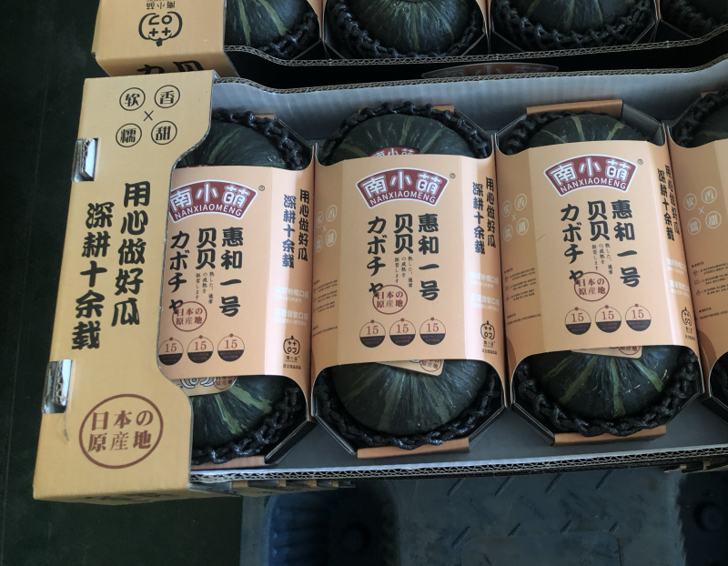 惠和一号贝贝南瓜批发商超一件代发日本惠和