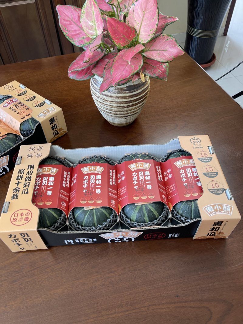 惠和一号贝贝南瓜批发商超一件代发日本惠和