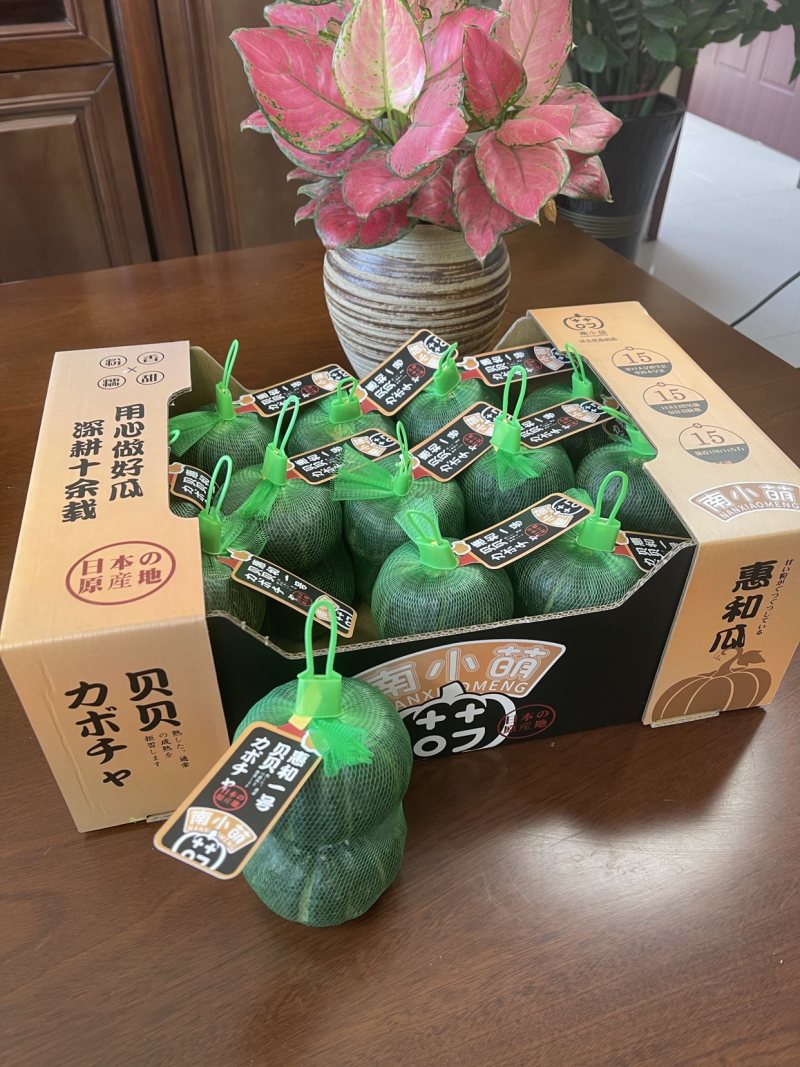 惠和一号贝贝南瓜批发商超一件代发日本惠和