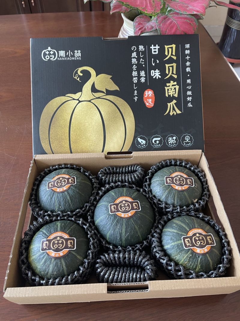 惠和一号贝贝南瓜批发商超一件代发日本惠和