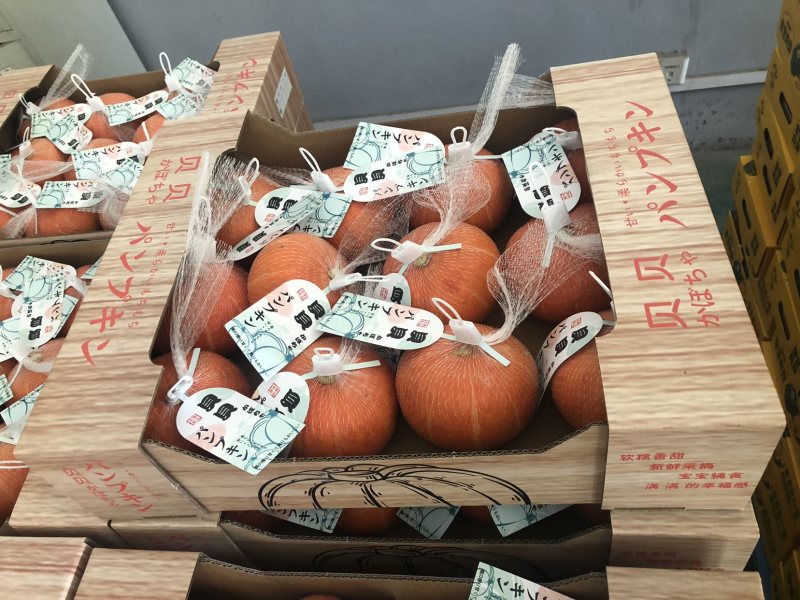 惠和一号贝贝南瓜批发商超一件代发日本惠和