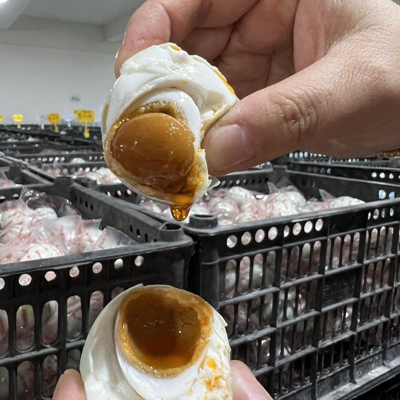 江西扬州一手货源咸鸭小子蛋初生蛋一手货源对接全国欢迎采购