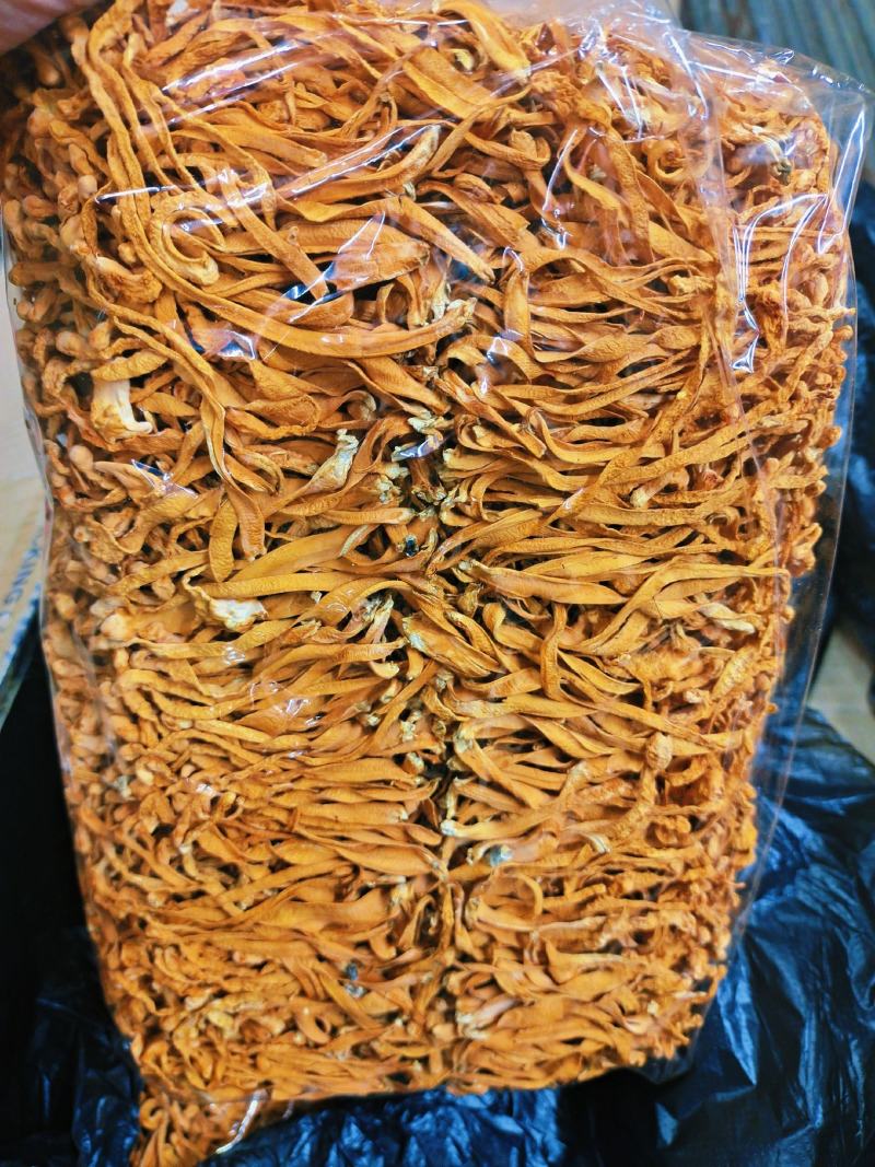 宁夏菌业大量批发虫草花质量保证干货欢迎下单联