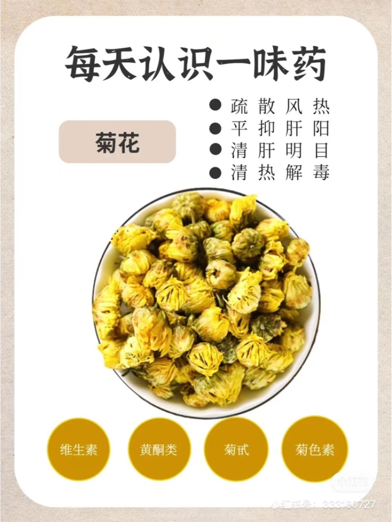 杭白菊胎菊无硫磺熏无农药；全程人工除草采摘全国发
