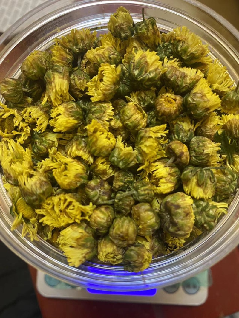 杭白菊胎菊无硫磺熏无农药；全程人工除草采摘全国发