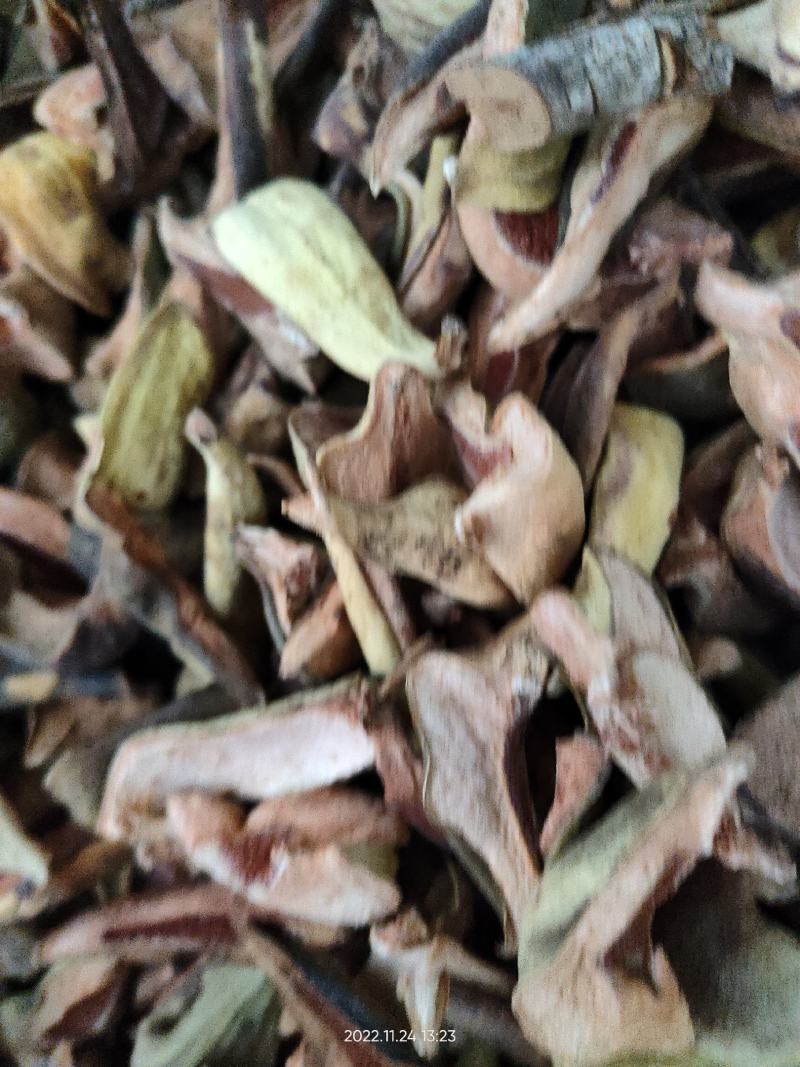 大山药材王不留行王不留奶米无硫无提取干品
