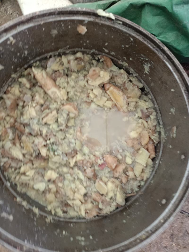 城口山地鸡，农户纯粮食喂养。