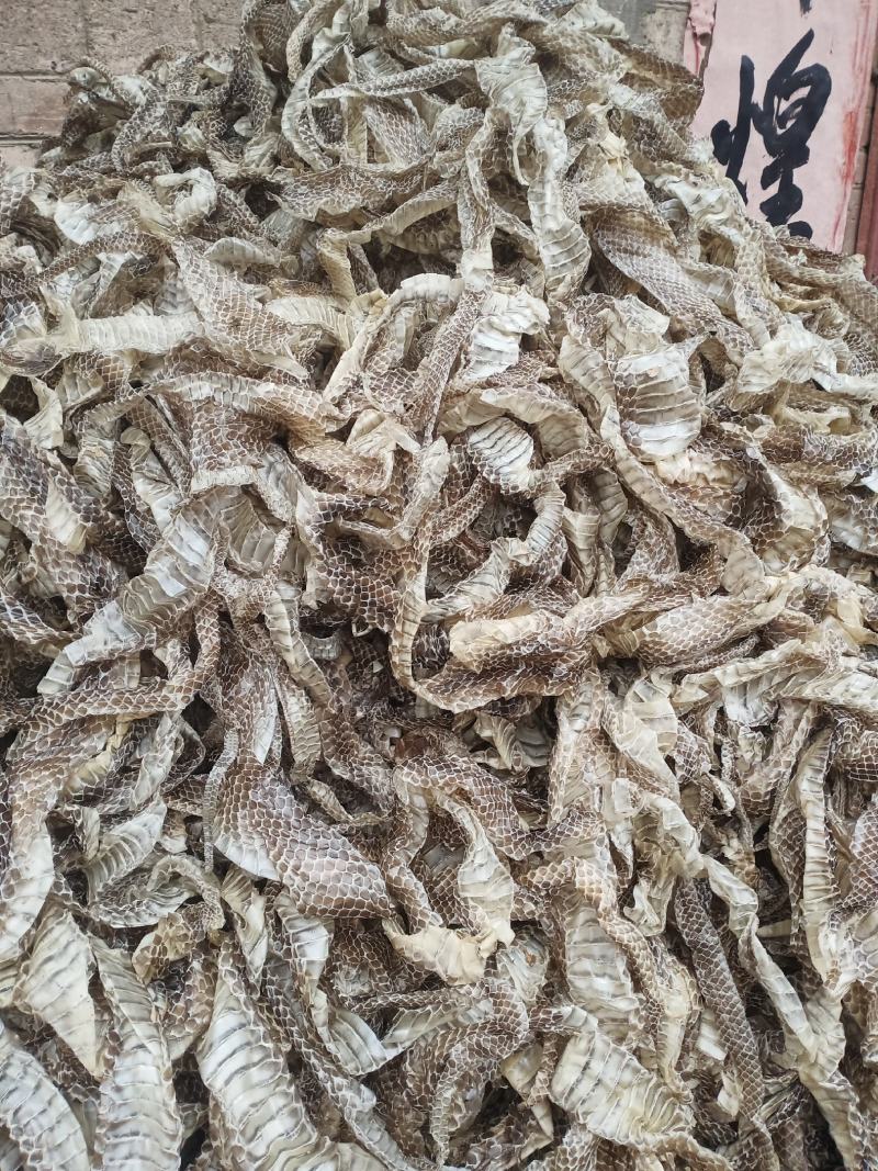 蛇蜕蛇皮一手货源欢迎联系采购量大从优