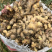 广西生姜