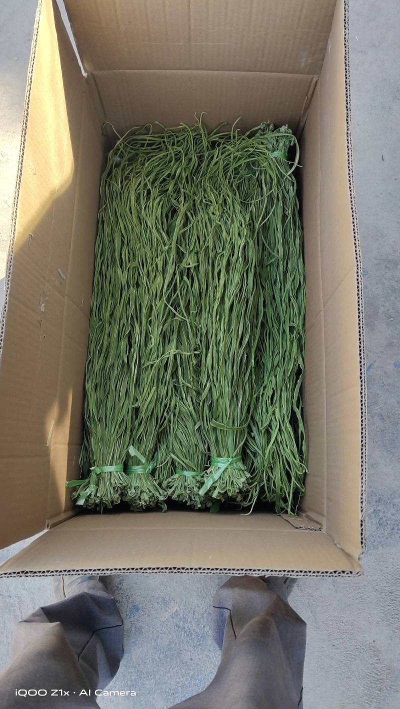 云南大理贡菜干贡菜产地直发一手货源支持一件代发颜色鲜绿